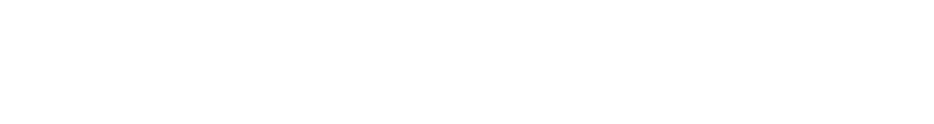 IEEE Student Branch WUSL Logo